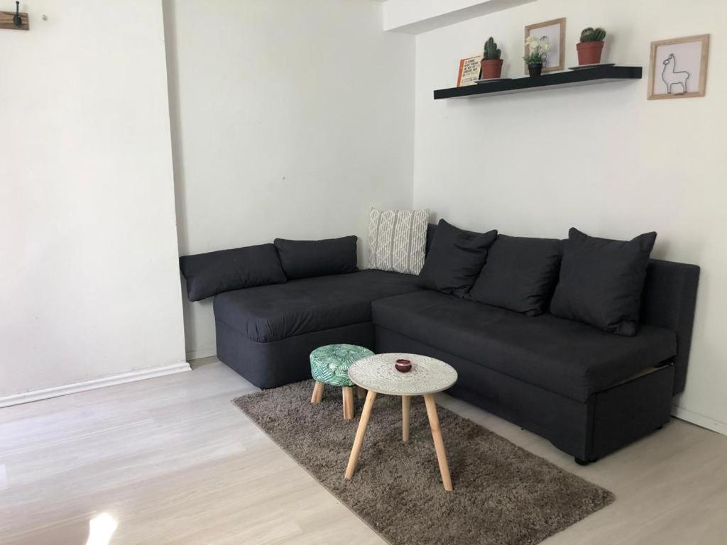 Bescheidene Untergeschoss Wohnung In Guter Lage. Кьолн Екстериор снимка